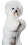 Pomozte!