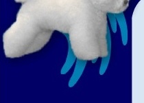 Bichon Charnett homepage