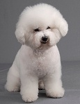Pro zvětšení klikněte