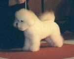 Pro zvětšení klikněte